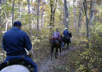 Ingelijste posters Paardrijden Along the Ozark Trail  © BONNIE C. MARQUETTE