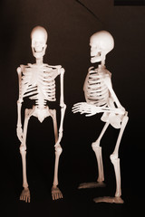 Skeletons