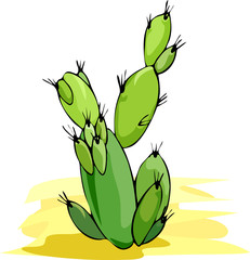 Cactus