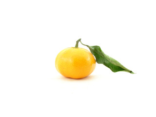tangerine
