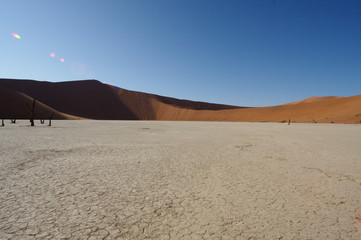 Deadvlei Pfanne