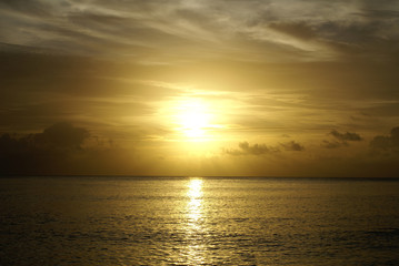 SONY DSC