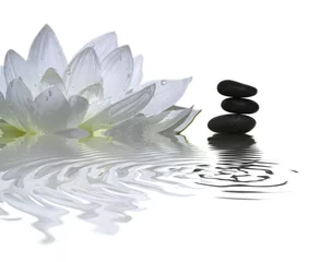 Photo sur Plexiglas fleur de lotus l& 39 instant zen