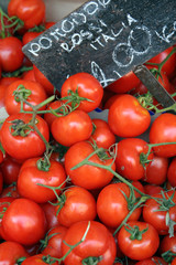 Tomatoes at Campo De'Fiori