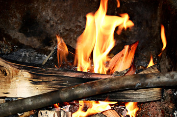 fiery wood