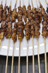 asian food chicken satay skewer cu vertical