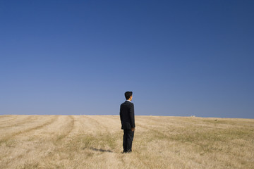 businessman standing in the field