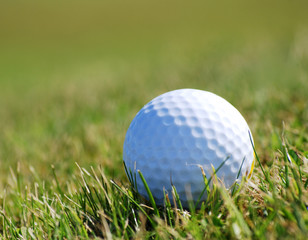 Golfball on grass
