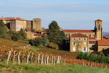 Vineyard and village