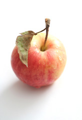One red apple on a white background