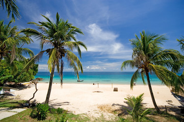 Fototapeta na wymiar Tropical Beach View With Palm Trees