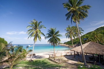 Naklejka na ściany i meble Tropical Beach View With Palm Trees