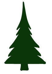 Sapin