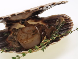 gebratene jakobsmuscheln mit pfifferlingen