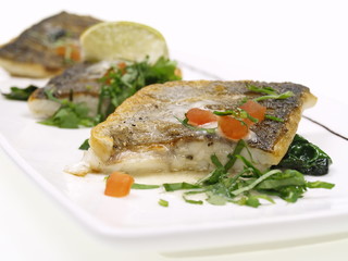 gebratenes doraden filet auf blatt spinat