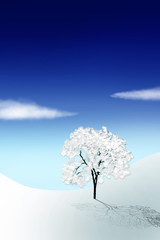 Albero in Inverno