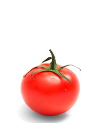 Tomato