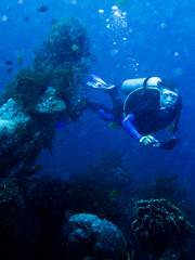 le plongeur © edouarrr