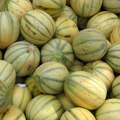 Melons
