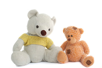 Toys (Two teddy bear)