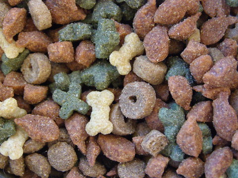 comida para gatos o perros