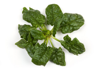 Spinach