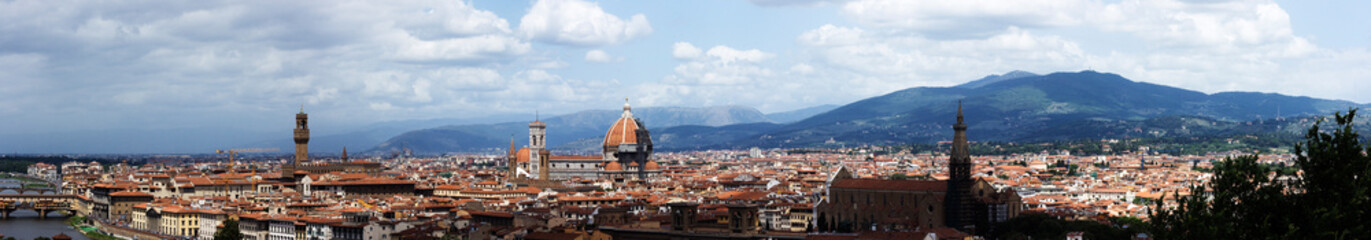 Fototapeta na wymiar Panorama of Florence