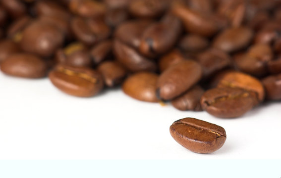 kaffebohnen makro