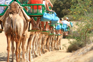 caravana de turistas