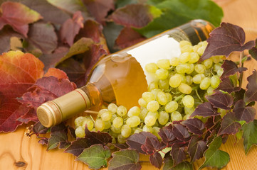 Bottle of wine with grapes and leaves