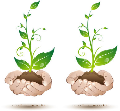 Jeune plante au creux des mains, image vectorielle