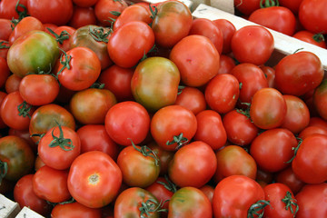 Crate of Tomatoes, Campo De'Fiori, Rome