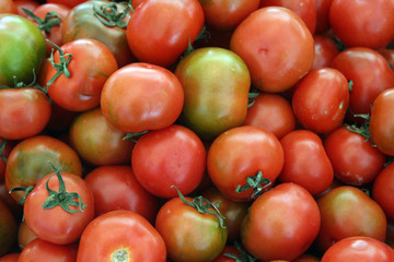 Organic Tomatoes, Rome, Italy