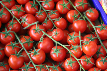 Cherry Tomatoes, Campo De'Fiori, Rome