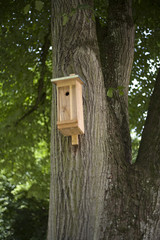vogelhaus