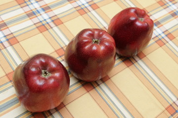 Apples
