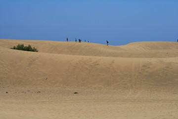 Fototapeta na wymiar sobre las dunas