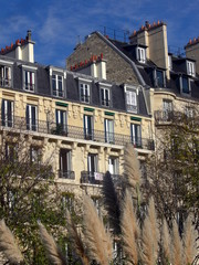 fenetres appartement