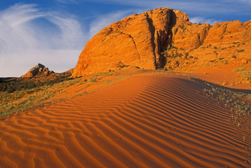 Fototapeta na wymiar Red Desert Sands 