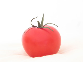 Tomate