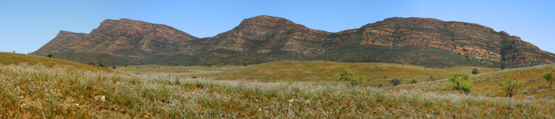 Naklejka premium Flinders Ranges