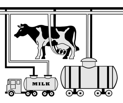 Manufacture of milk