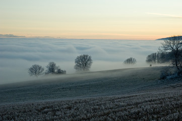 Promenade sur une mer de nuage suisse