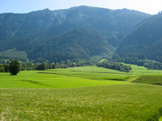 Obraz premium Alpine countryside in Switzerland, Europe