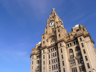 Fototapeta na wymiar Budynek Liverpool wątroby