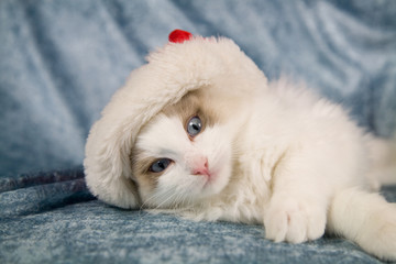 Take the hat off my head