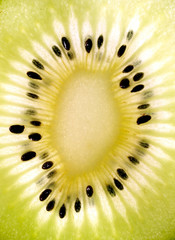 close up photo of a kiwi