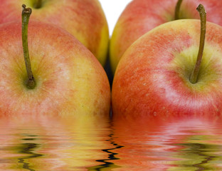 Apples reflection