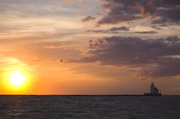 Foto auf Alu-Dibond Sonnenuntergang Leuchtturm und Möwe © Yogi