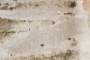 fragment of the old building wall